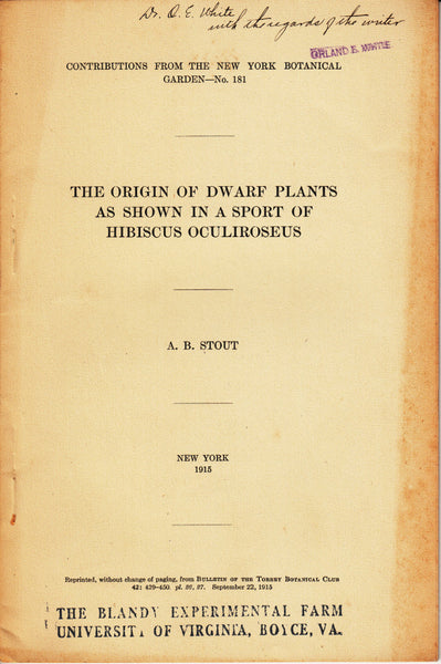 The Origin of Dwarf Plants as Shown in a Sport of Hibiscus Oculiroseus