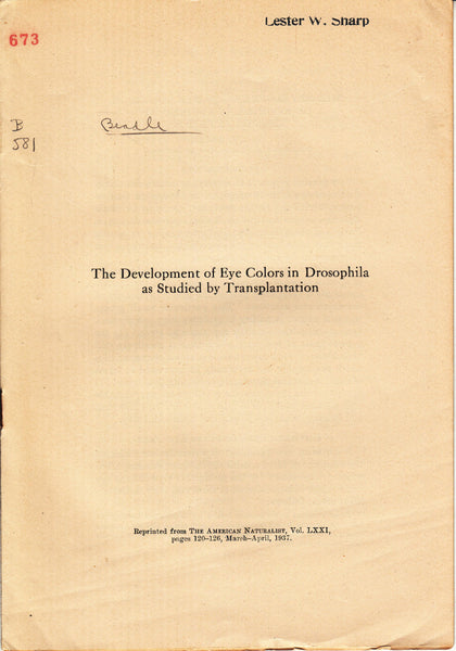 The Development of Eye Colors in Drosphila as Studied by Transplantation