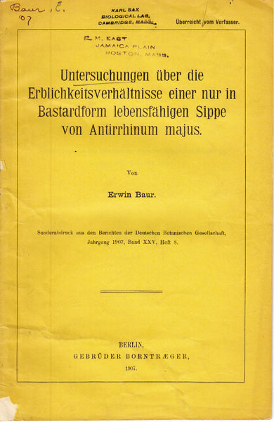 Untersuchungen uber die Erblichkeitsverhaltnisse einer nur in Bastardform lebensfahigen Sippe von Antirrhinum majus