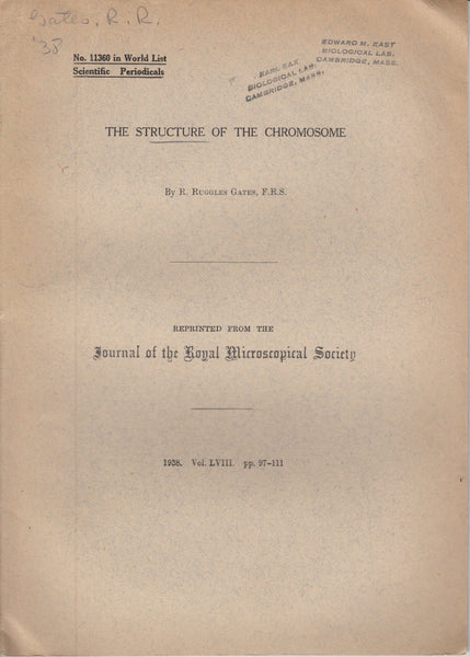The Structure of the Chromosome