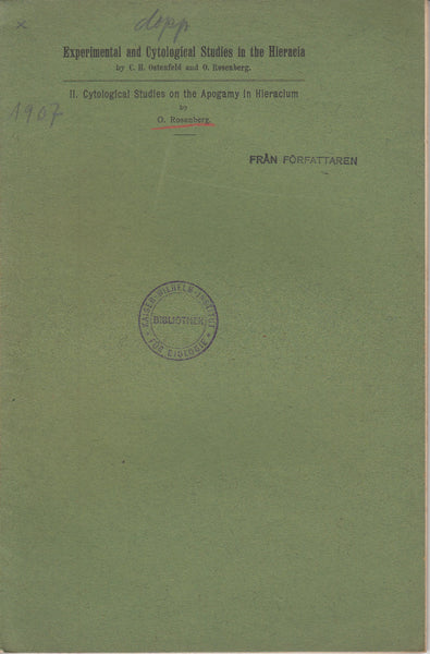 II. Cytological Studies on the Apogamy in Hieracium