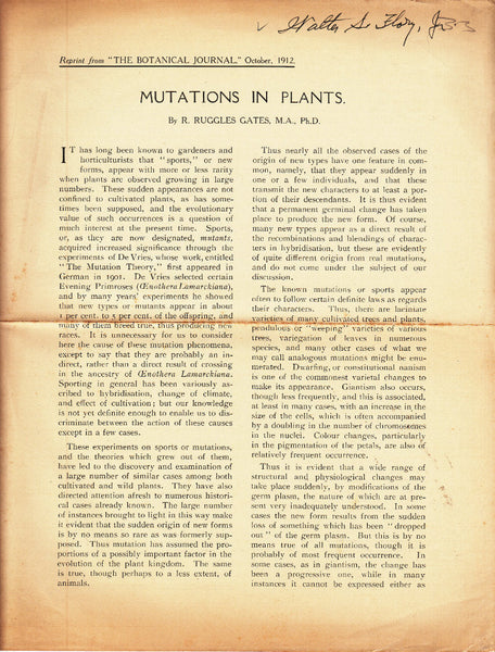 Mutations in Plants