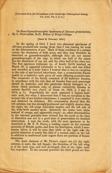On Some Gynandromorphic Specimens of Abraxas grossulariata
